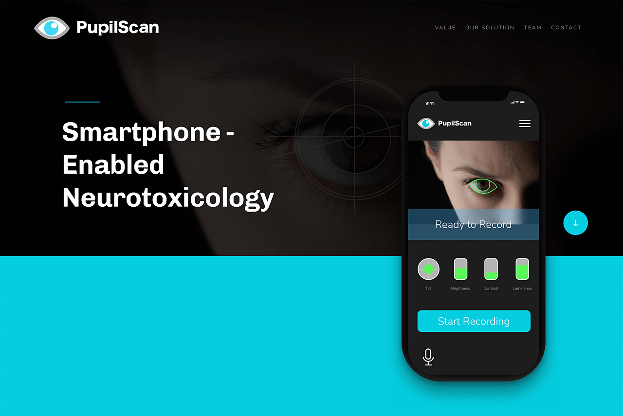 PupilScan-screen Graphic showing PupilScan app screen